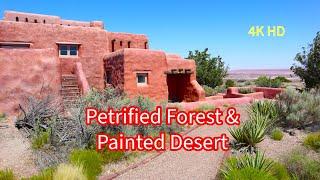 Petrified Forest - Painted Desert