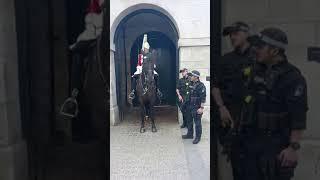 Five shocking moments from tourist involving the  king's guards #horseguardsparade