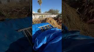 #compost #garden #nature #vermicompost #tucson #arizona