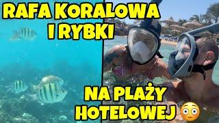 RAFA KORALOWA i KOLOROWE RYBKI na PLAŻY HOTELOWEJ - EGIPT HURGHADA 2023 SNORKELING / SNURKOWANIE