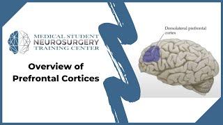 Overview of Prefrontal Cortices