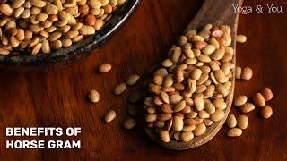 Powerful Kidney Stone Remedy | Horse Gram | Weight Loss Drink