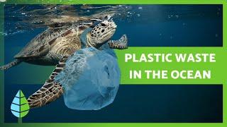 Plastic Waste & OCEAN POLLUTION ️ Causes, Consequences and Solutions!