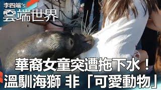 華裔女童突遭拖下水！ 溫馴海獅 非「可愛動物」-李四端的雲端世界