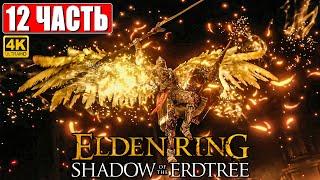 ПРОХОЖДЕНИЕ SHADOW OF THE ERDTREE - ELDEN RING [4K]  Часть 12  На Русском  DLC Элден Ринг на ПК