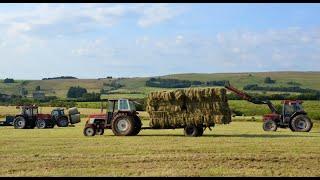 Cumbrian Hay 2024. Full haymaking operation with classic International, Case-IH & MF team!