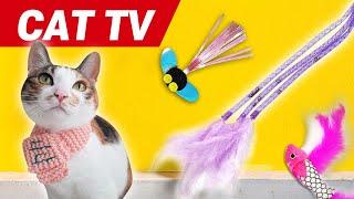 【CAT Games】 Ultimate Cat TV Compilation