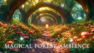 Beautiful Enchanting Forest SpaceLet go of daily stress & deep sleep with magical forest music