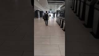 aereporto roma fiumicino