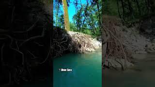 #iran #nature #shorts #viralvideo #trending #naturelovers #forest #jungle #mazandaran