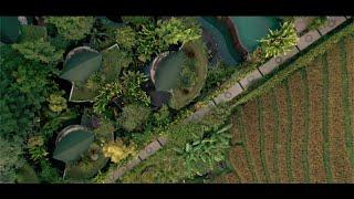 De Moksha Eco Friendly Boutique Resort in Bali