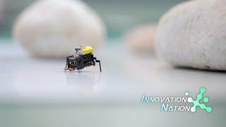 China's bug-like microbot races at blistering speeds