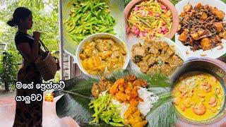 මගේ ප්‍රෙග්නට් යාලුවට දුන්න කෑම එක  Cooking Vlog | Isso Curry|Achcharu |Ala Baduma | Polos Curry