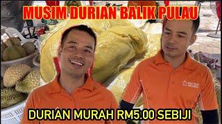 DURIAN MURAH RM5 MUSANG KING OCHEE BLACK THORN D14 (MUSIM DURIAN BALIK PULAU PENANG ) DURIAN SEASON.
