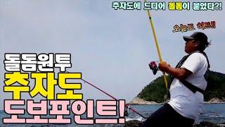 돌돔원투 추자도 도보포인트!  / 추자도 낚시 /  Fishing