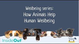 WELLBEING WEBINAR: HOW DOGS HELP HUMAN WELLBEING 