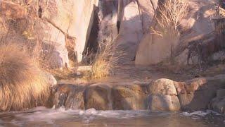 Madera Canyon in southern Arizona is hikers' paradise