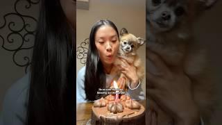 what i eat in a day BIRTHDAY EDITION!!