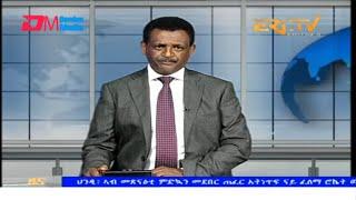 Evening News in Tigrinya for December 31, 2024 - ERi-TV, Eritrea