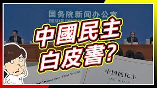 中國民主白皮書_人民當家作主是真的嗎?