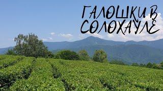 VLOG Солохаул .Платная рыбалка.Пляж пансионата Морская Даль.Головинка