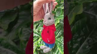 The Rabbit 10” #crochet #handmade #diybykrutai #craftstoryshop #lovelydiy #petertherabbit #keychain