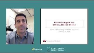 Research Progress on Canine Addison’s Disease - Canine Health Summit 2021 - Embark for Breeders