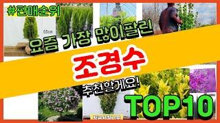 조경수 추천 판매순위 Top10 || 가격 평점 후기 비교