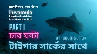 4 hours with Tiger Sharks - Part 1, Scuba diving vlog - মালদ্বীপের শেষ দ্বীপে