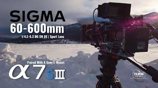 Sigma 60-600mm DG DN | Sony E - Mount | A Review From A Wildlife Filmmaker