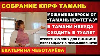 ЕКАТЕРИНА ЧЕБОТАРЁВА О ВЫБРОСАХ "ТАМАНЬНЕФТЕГАЗА", ПРОБЛЕМАХ ПРИРОДООХРАНЫ И ОТСУТСТВИИ САНУЗЛОВ