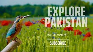 Book Your Pakistan Tour With | One Click Travel And Tours | Best Travel Service