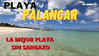 PLAYA PALANCAR La mejor playa de Cozumel sin SARGAZO / Que hacer en Cozumel ? / Junio 2021