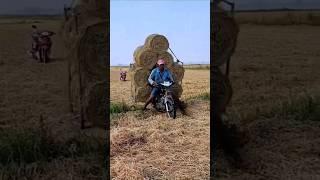 Farmer's Jugaad for carrying straw  #shorts #jugaad