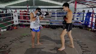 Muay Thai Basics - How to Throw a Muay Thai Teep (Front and Rear)