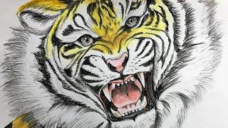 How to Paint a Tiger Step by Step tutorial video  | Simple Techie Artist