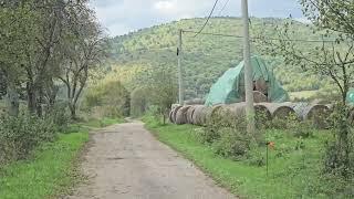 Cesta jada i plača u Doljanima