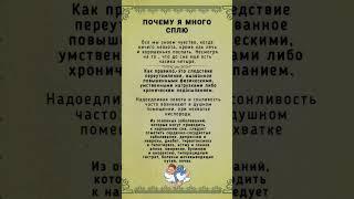 Интересно И Познавательно #shorts #зож