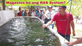 Tilapia Farmer Switch from RAS System to Biofloc Technology- Watch!