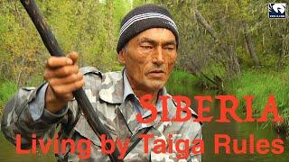 Siberia. Living by Taiga Rules 2. Bushcraft in Siberia. Wilderness Survival