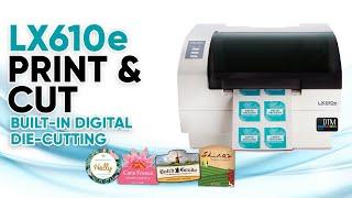 Label Maker Mini - Print & Cut color roll Label printer any size and shape