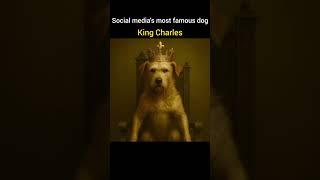 Social media's most famous dog is King Charles