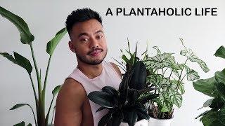 HOUSEPLANT HAUL | THE COST OF PLANT ADDICTION | CRAZY PLANT GUY