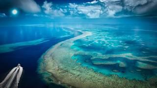 The Hunt for HUGE Fish on the Great Barrier Reef | Dogtooth Tuna & Topwater Monsters