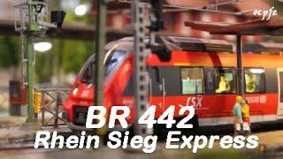 Piko BR 442 RSX in Gleis 2 (H0 Modelleisenbahn)