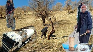 Nomadic life in Zagros, Iran.   Keeping the ancient nomadic traditions alive