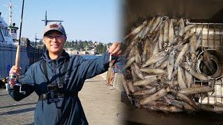 Daytime Squid Fishing in Summer | How to Fish Squid From The Pier in Puget Sound Washington State