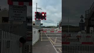 Level crossing with new pedestrian light 