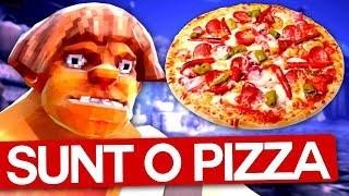 SUNT O PIZZA ASCUNSA !!! MaxInfinite si Pisica