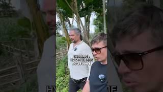 Дешевые виллы на Бали. #вилланабали
